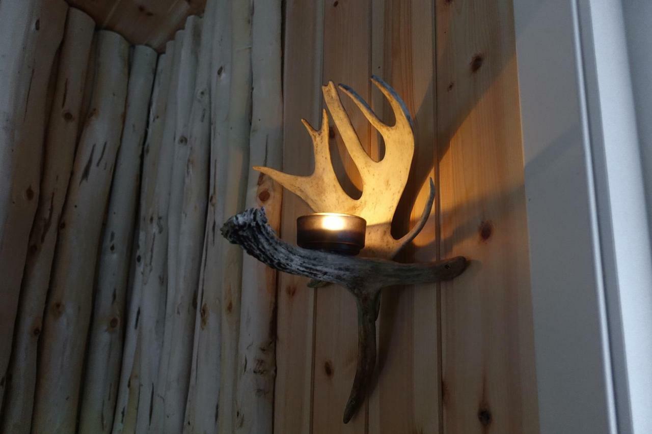 Wild Caribou'S Wildwood Cabin Lakselv Dış mekan fotoğraf