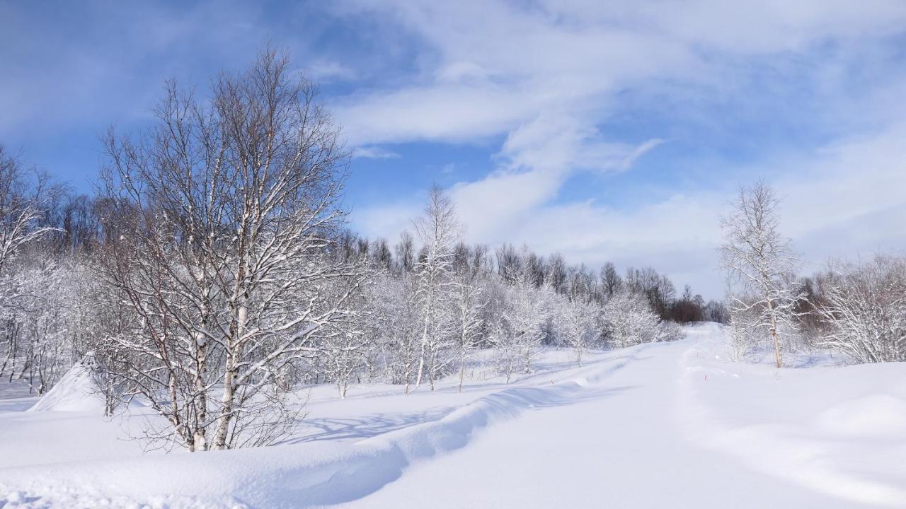 Wild Caribou'S Wildwood Cabin Lakselv Dış mekan fotoğraf